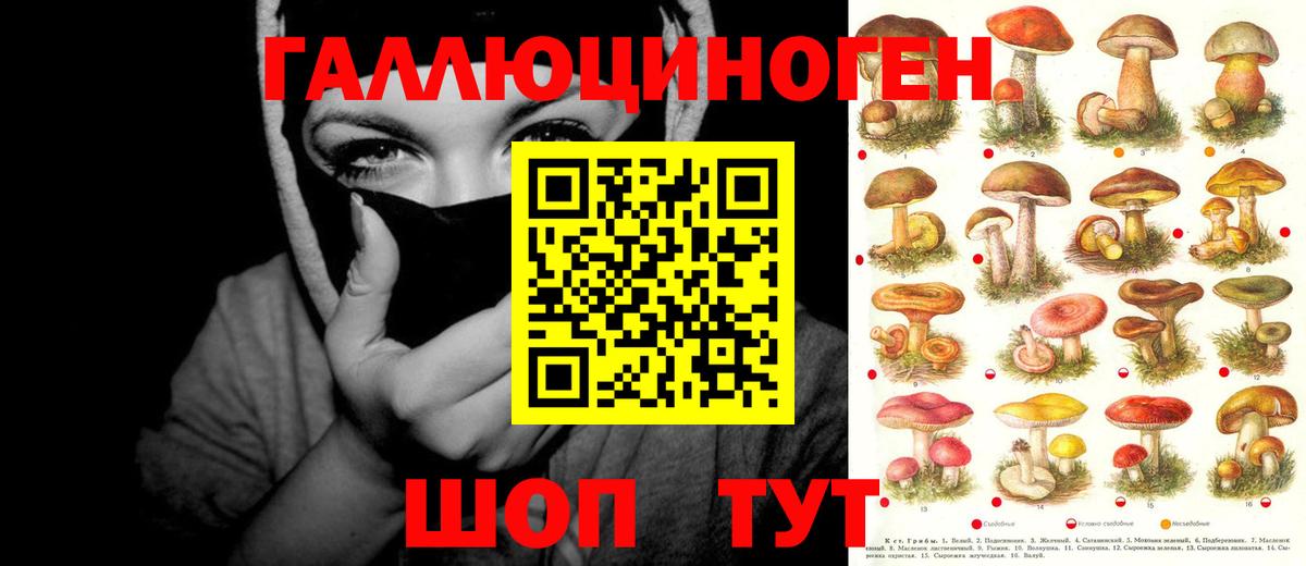 Сунжа  Галлюциногенные грибы Cubensis  Вход с VPN  Галлюциногенные грибы мухоморы 